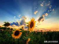 山东福泰德金属材料有限公司