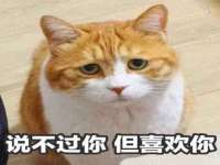 山东福泰德金属材料有限公司