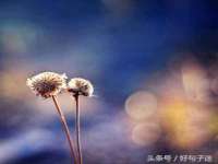 山东福泰德金属材料有限公司