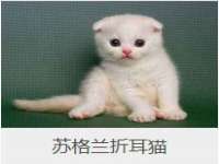 山东福泰德金属材料有限公司