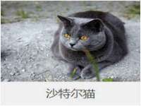 山东福泰德金属材料有限公司