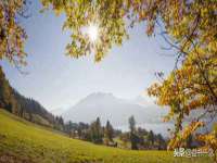 山东福泰德金属材料有限公司