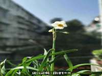 山东福泰德金属材料有限公司