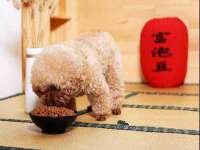 山东福泰德金属材料有限公司