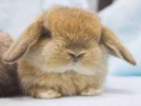山东福泰德金属材料有限公司