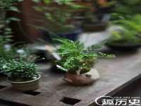 山东福泰德金属材料有限公司
