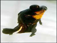 山东福泰德金属材料有限公司