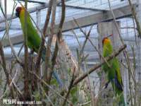 山东福泰德金属材料有限公司